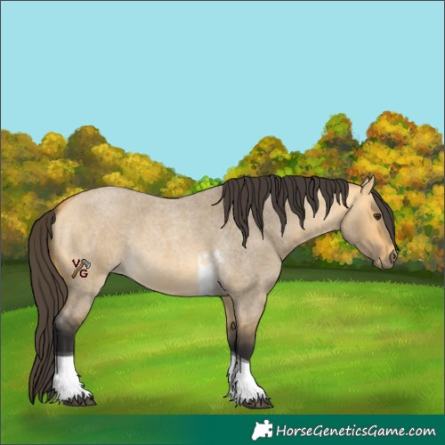 Horse Color:Buckskin Roan Dun Tobiano 