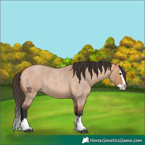 Horse Color:Bay Roan Dun Splash