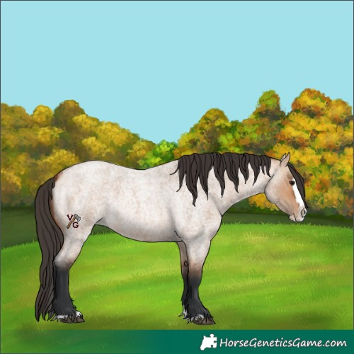 Horse Color:Bay Roan Dun Splash