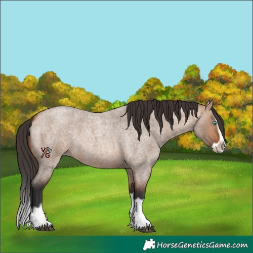 Horse Color:Bay Roan Dun Splash Frame 