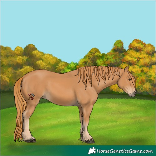 Horse Color:Unknown 