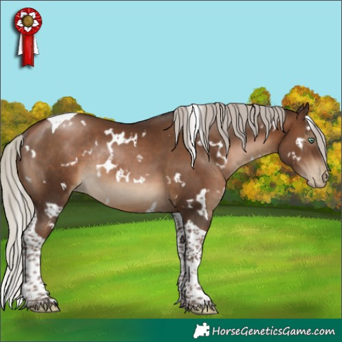Horse Color:Gray White Spotted Silver Brown Pearl Tobiano Rabicano