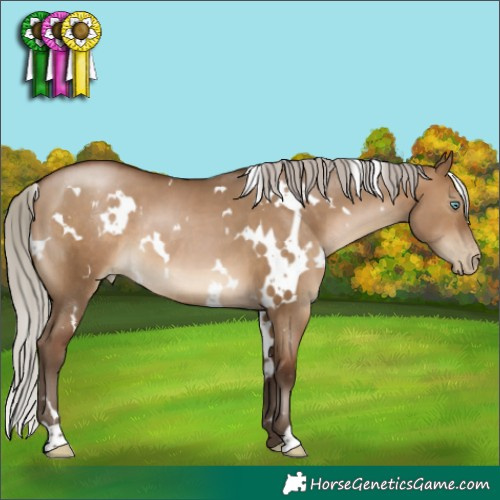 Horse Color:Gray White Spotted Silver Brown Pearl Dun