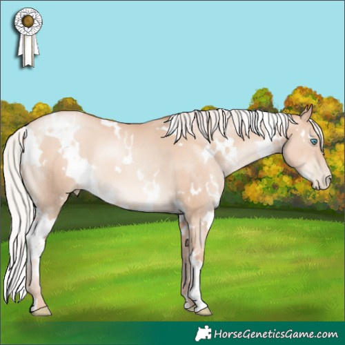 Horse Color:White Spotted Silver Sable Champagne Pearl 