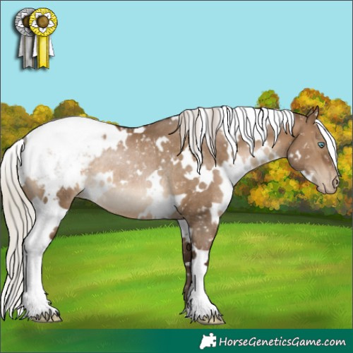 Horse Color:Gray White Spotted Silver Brown Pearl Dun Appaloosa Rabicano