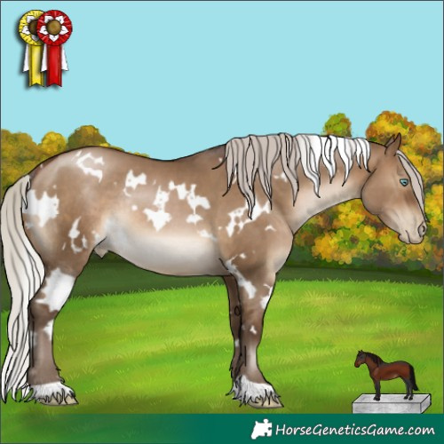 Horse Color:Gray White Spotted Silver Brown Pearl Dun Rabicano