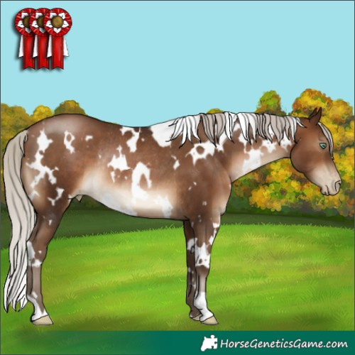 Horse Color:Gray White Spotted Silver Brown Pearl Rabicano