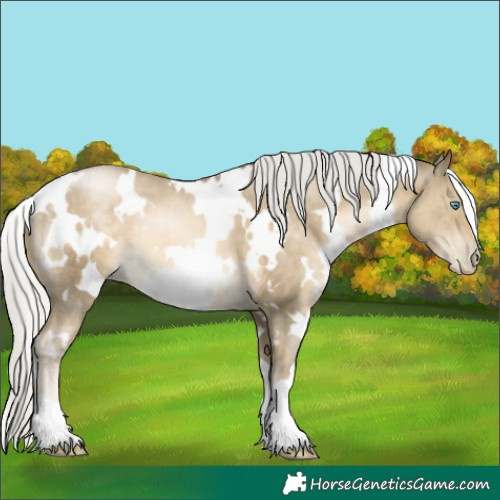 Horse Color:White Spotted Silver Smoky Black Pearl 