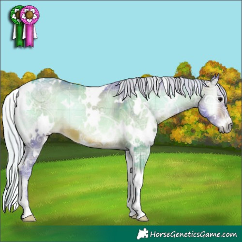Horse Color:Watercolor Plaid White Spotted Silver Brown Ice Onyx