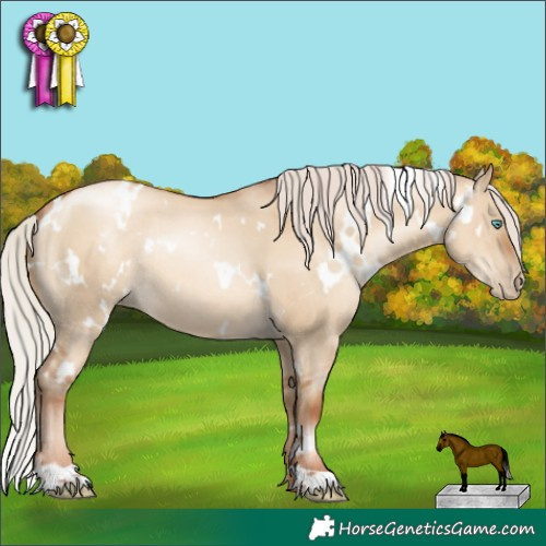 Horse Color:Gray White Spotted Silver Sable Champagne Pearl Dun Rabicano 