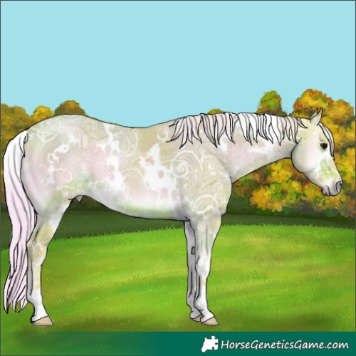 Horse Color:Watercolor White Spotted Silver Brown Ice Onyx 