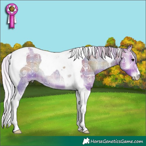 Horse Color:Watercolor Plaid  Silver Blue Onyx Ice Tobiano 