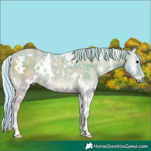 Horse Color:Watercolor Plaid White Spotted Silver Blue Onyx Ice