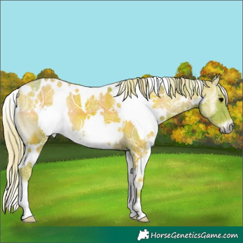Horse Color:Watercolor Plaid  White Spotted Silver Blue Onyx Ice 