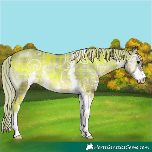 Horse Color:Plaid  Silver Blue Onyx Ice Sabino 