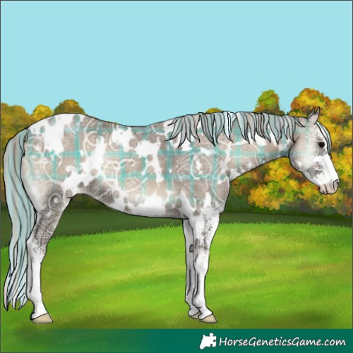 Horse Color:Painted Plaid  White Spotted Silver Blue Onyx Ice Sabino 