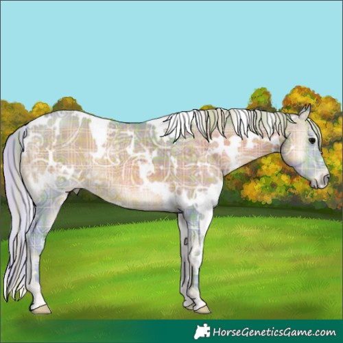 Horse Color:Watercolor Plaid  White Spotted Silver Blue Onyx Ice 