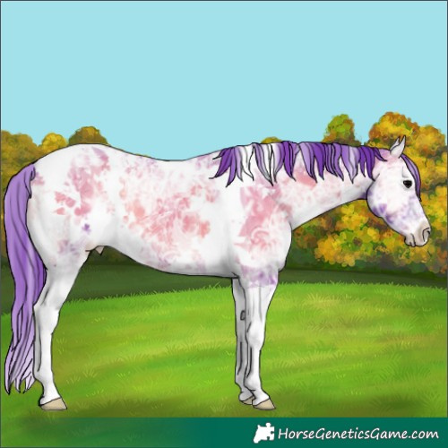 Horse Color:Watercolor White Spotted Blue Onyx Ice Tobiano 