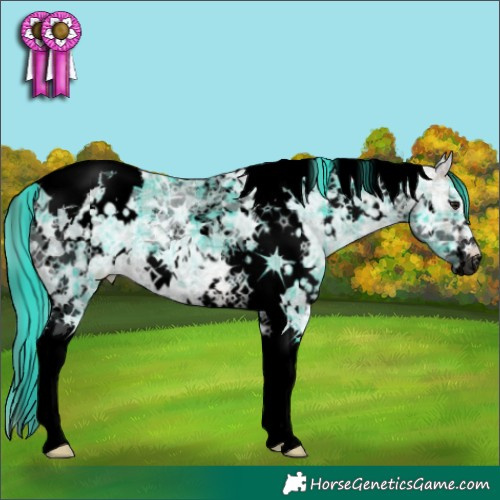 Horse Color:Void Watercolor Plaid  White Spotted Brown Ice Tobiano 