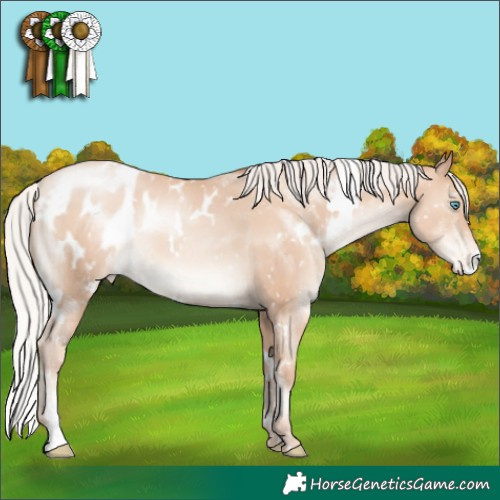 Horse Color:White Spotted Silver Sable Champagne Pearl Appaloosa Rabicano 