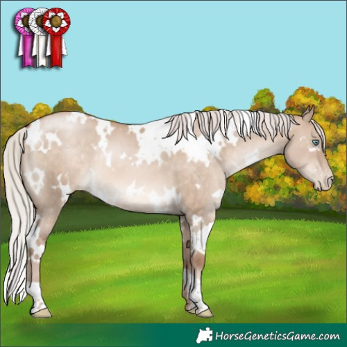 Horse Color:White Spotted Silver Brown Pearl Dun 