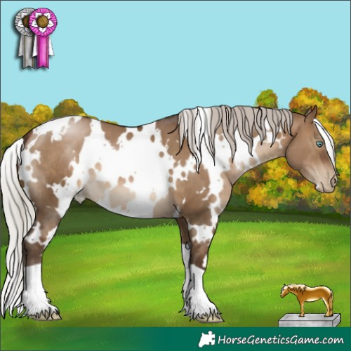 Horse Color:Gray White Spotted Silver Brown Pearl Dun