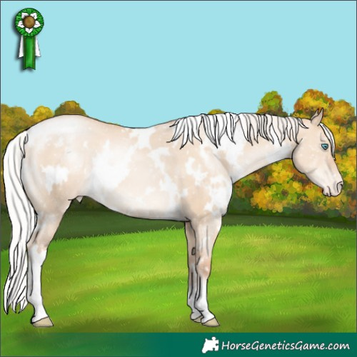 Horse Color:White Spotted Silver Sable Champagne Pearl Dun Appaloosa