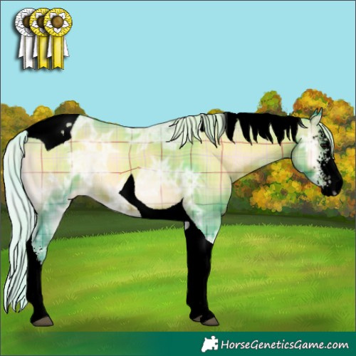Horse Color:Void Watercolor Plaid  Silver Blue Onyx Ice Sabino Tobiano Appaloosa 