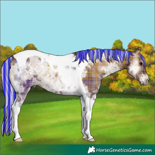 Horse Color:Painted Plaid  Silver Blue Onyx Ice Tobiano 