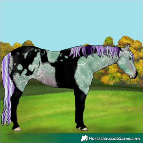 Horse Color:Void Painted Watercolor Silver Brown Ice Tobiano Appaloosa