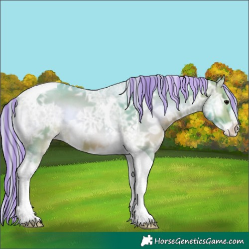 Horse Color:Painted Watercolor Silver Brown Ice Onyx Tobiano Appaloosa 