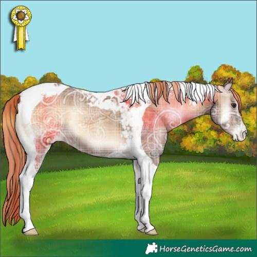 Horse Color:Plaid Red Onyx Ice Tobiano Appaloosa