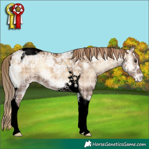 Horse Color:Void Plaid  Red Onyx Ice Tobiano Appaloosa 