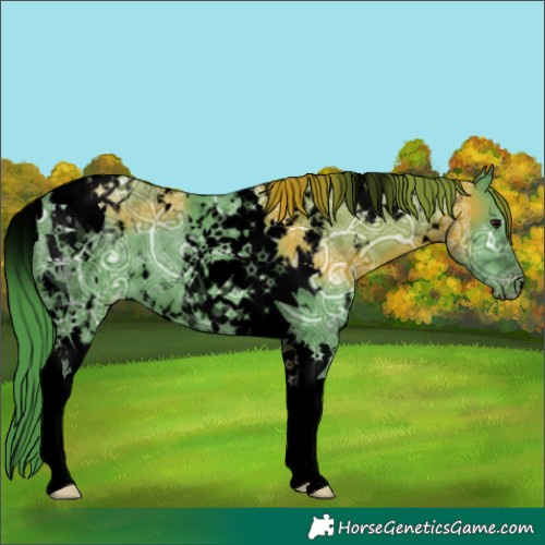 Horse Color:Void Watercolor White Spotted Black Ice Tobiano Appaloosa