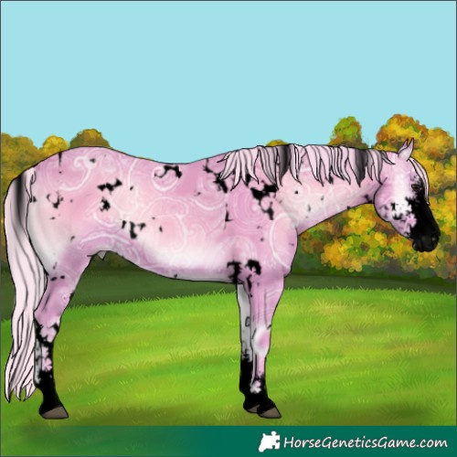 Horse Color:Void Watercolor White Spotted Silver Bay Ice Onyx Sabino 