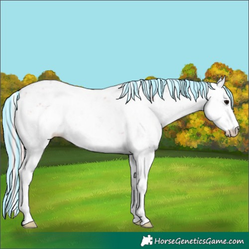 Horse Color:Painted Watercolor Silver Blue Onyx Ice Sabino 