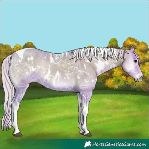 Horse Color:Watercolor White Spotted Silver Blue Onyx Ice Tobiano