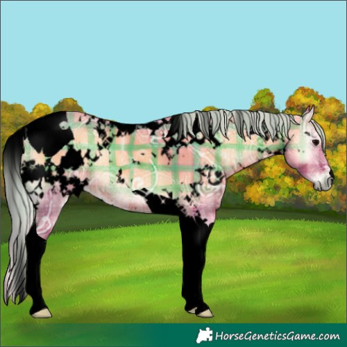 Horse Color:Void Watercolor Plaid  White Spotted Silver Blue Onyx Ice Tobiano 