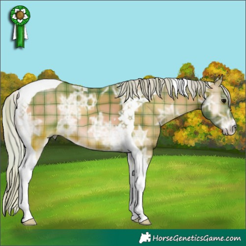 Horse Color:Watercolor Plaid  Silver Brown Ice Onyx Tobiano 