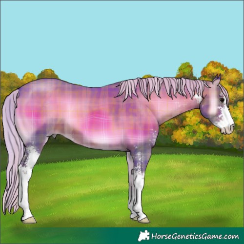 Horse Color:Watercolor Plaid  Silver Blue Onyx Sabino 