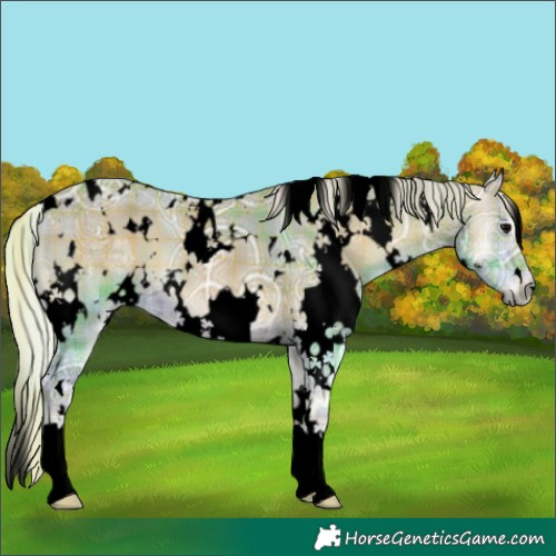 Horse Color:Void Watercolor Plaid  White Spotted Silver Blue Onyx Ice 