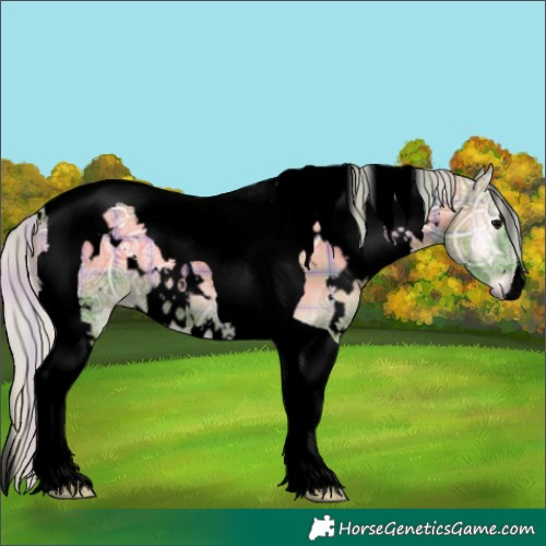 Horse Color:Void Watercolor Plaid  White Spotted Silver Blue Onyx Ice Tobiano 