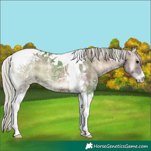 Horse Color:Plaid  Silver Blue Onyx Ice Tobiano 