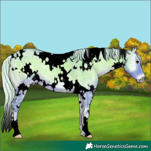Horse Color:Void Watercolor White Spotted Silver Blue Onyx Ice 