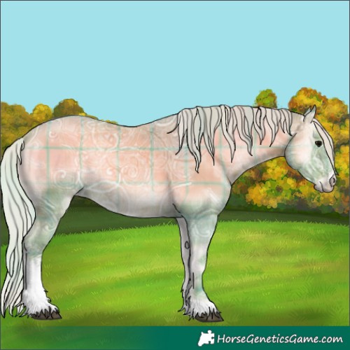 Horse Color:Watercolor Plaid  Silver Blue Onyx Ice Sabino 