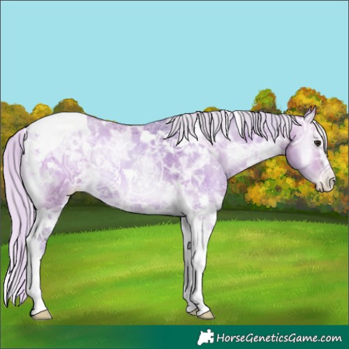 Horse Color:Watercolor White Spotted Silver Bay Ice Pearl Onyx Tobiano 