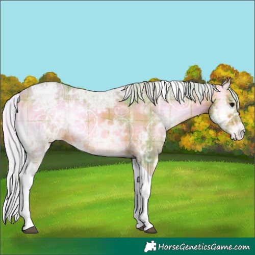 Horse Color:Watercolor Plaid  Silver Bay Ice Onyx Tobiano Appaloosa 