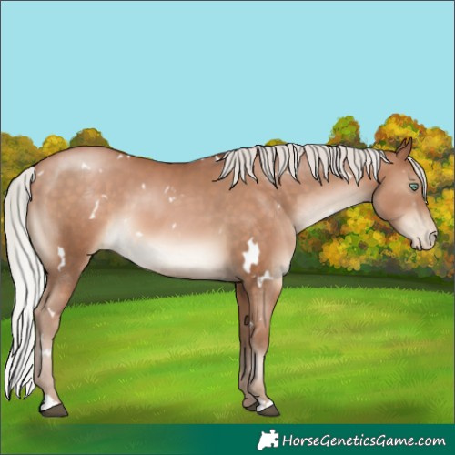 Horse Color:White Spotted Silver Brown Pearl 