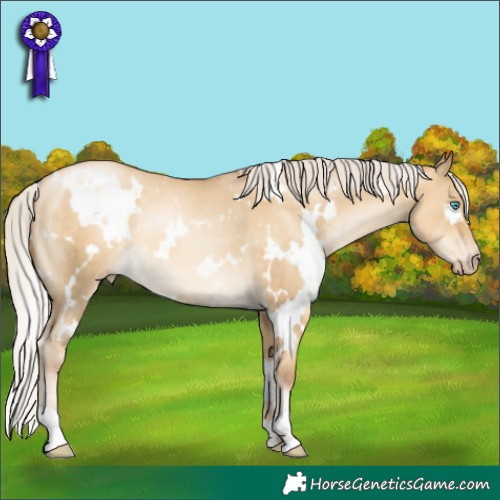 Horse Color:Gray White Spotted Silver Sable Cream Champagne Pearl Dun Appaloosa Rabicano 