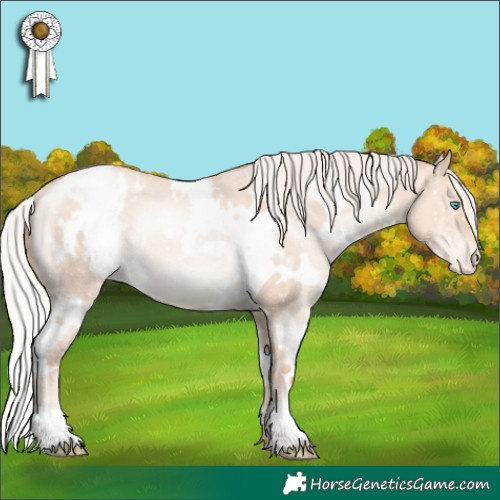 Horse Color:White Spotted Silver Sable Champagne Pearl Dun Appaloosa Rabicano